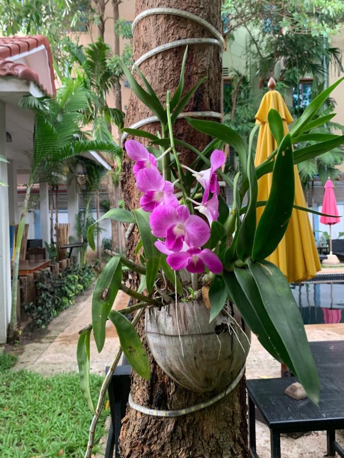 Отель Angkor Magic Tree Boutique Сиемрип Экстерьер фото