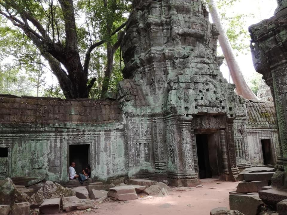 Отель Angkor Magic Tree Boutique Сиемрип Экстерьер фото