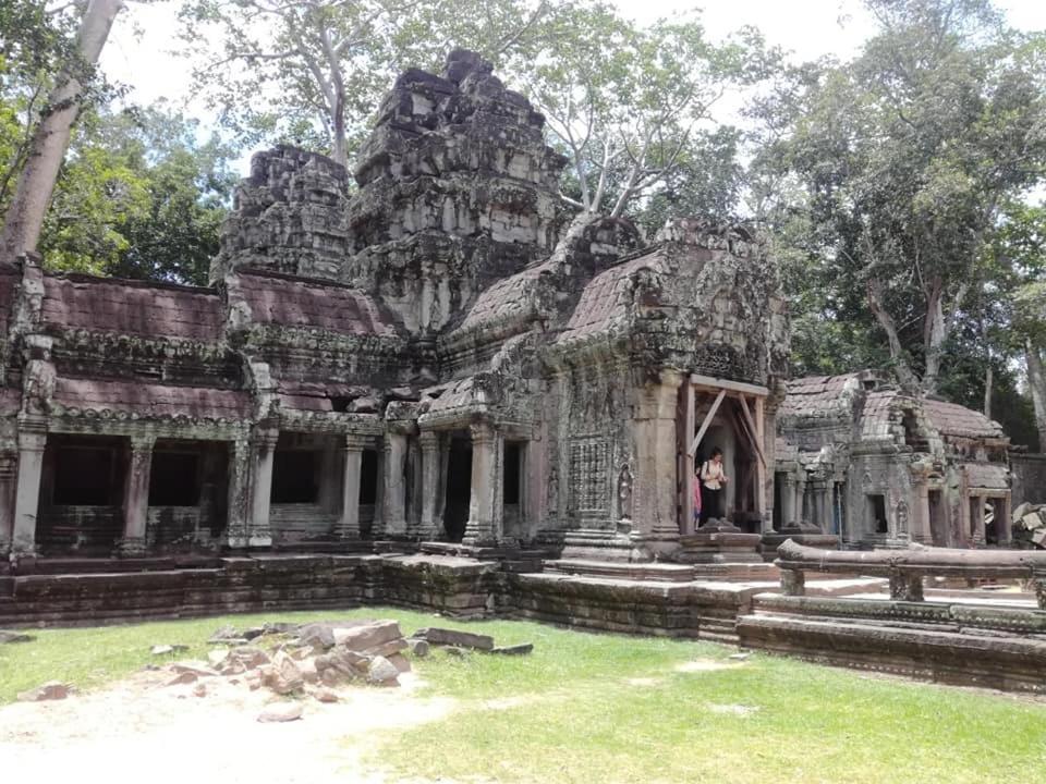 Отель Angkor Magic Tree Boutique Сиемрип Экстерьер фото